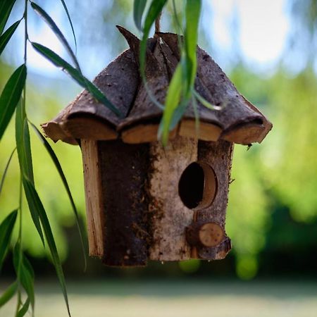 Villa De Marchi Saint-Just-de-Claix Ngoại thất bức ảnh